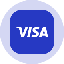 Visa Tokenized Stock (Ondo) icon